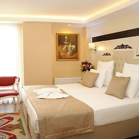 Comfort Elite Sultanahmet Hotel 3*