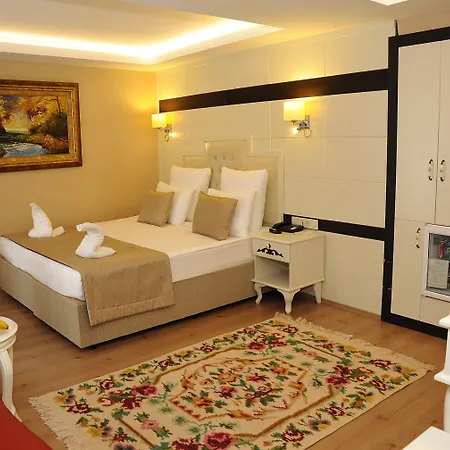 Comfort Elite Sultanahmet Hotel Estambul
